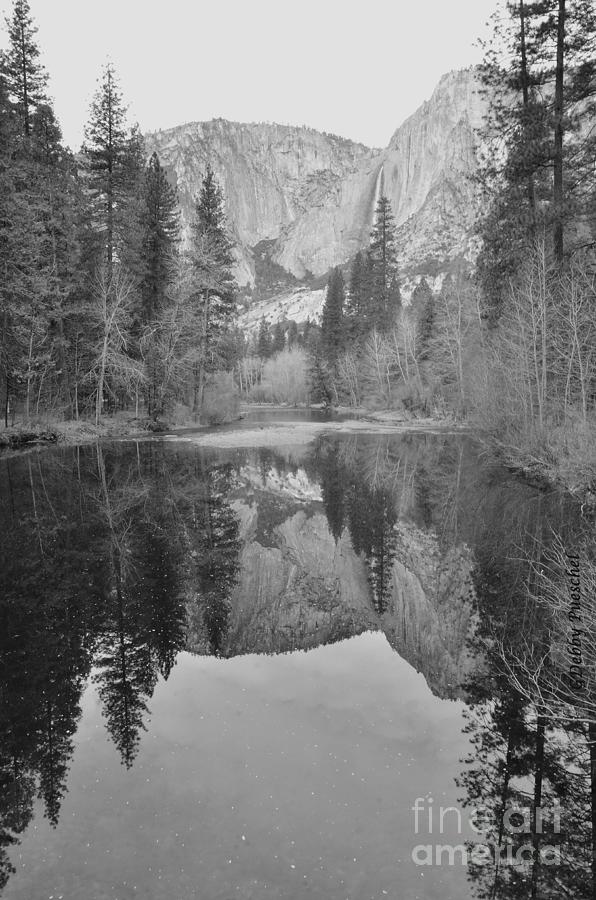 Footsteps of Ansel Adams Photograph by Debby Pueschel