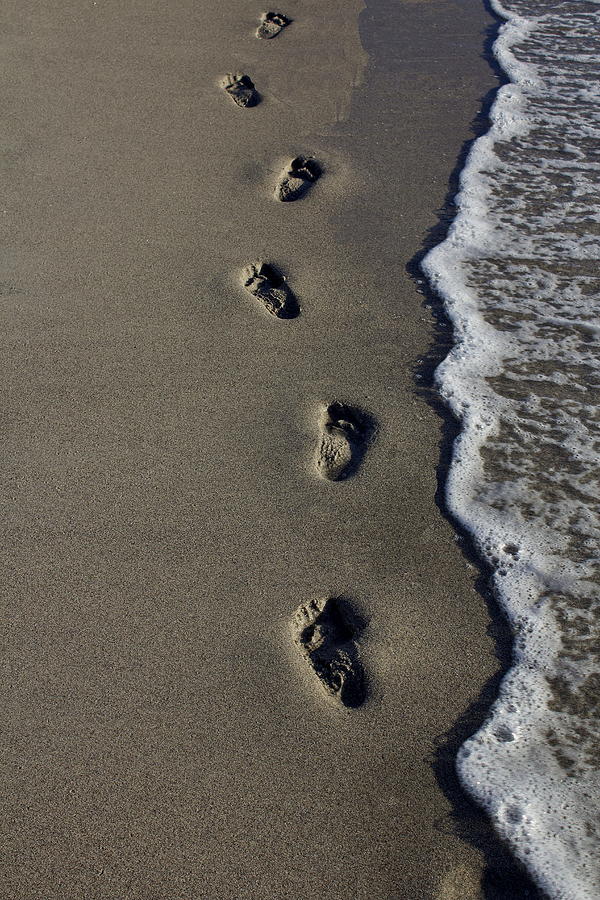 Footsteps of My Future Photograph by Tom Lass | Fine Art America