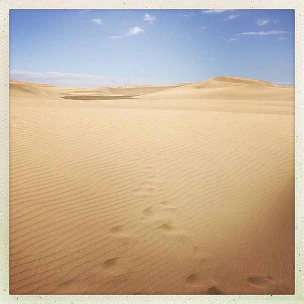 Nature Photograph - Footsteps. #sand #dunes #grancanaria by Luis Aviles