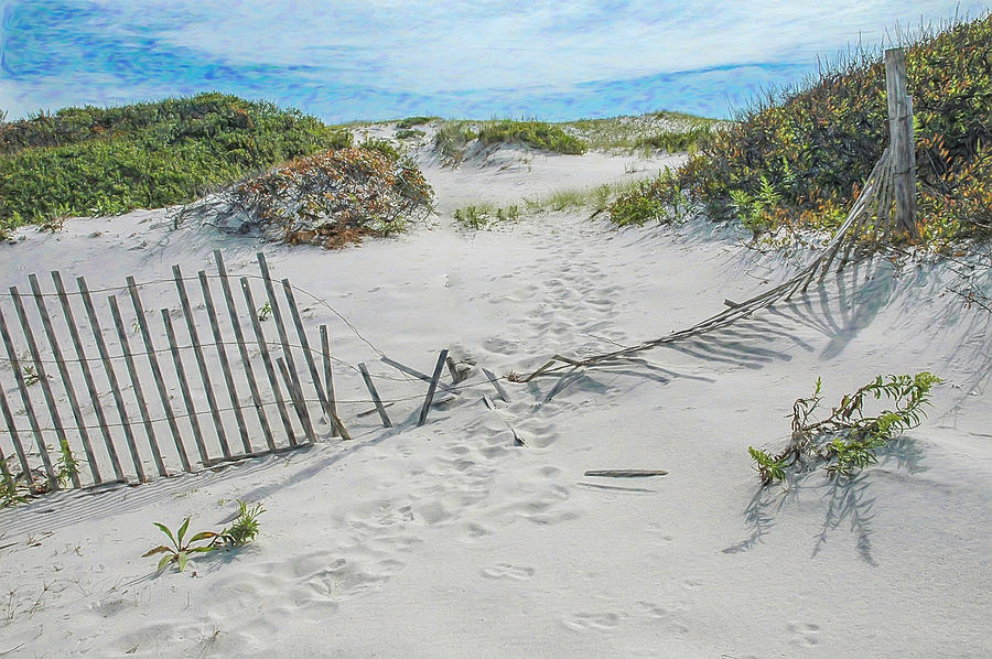 Footsteps Through The Sand Dune Fence Photograph by Gary Slawsky