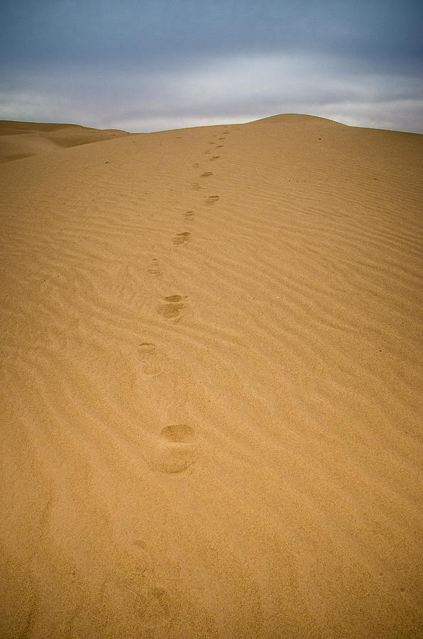 Footsteps Photograph by Will Wagner