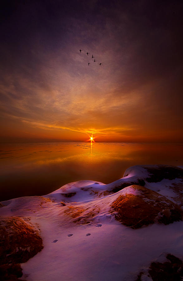 Geese Photograph - For All That Came Before by Phil Koch