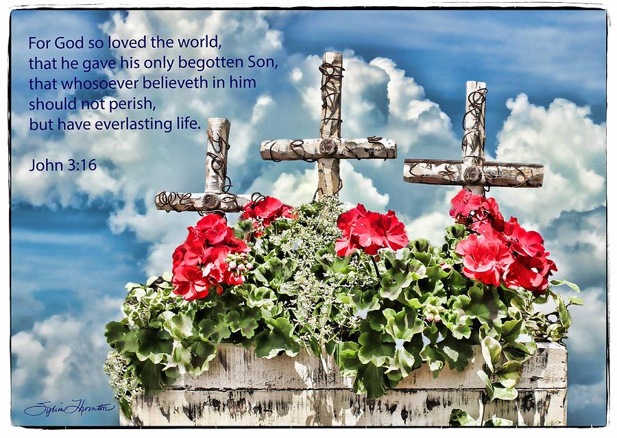 For God So Loved the World Photograph by Sylvia Thornton
