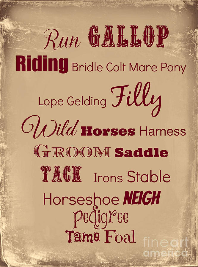 For Horse Lovers Digital Art by Mindy Bench