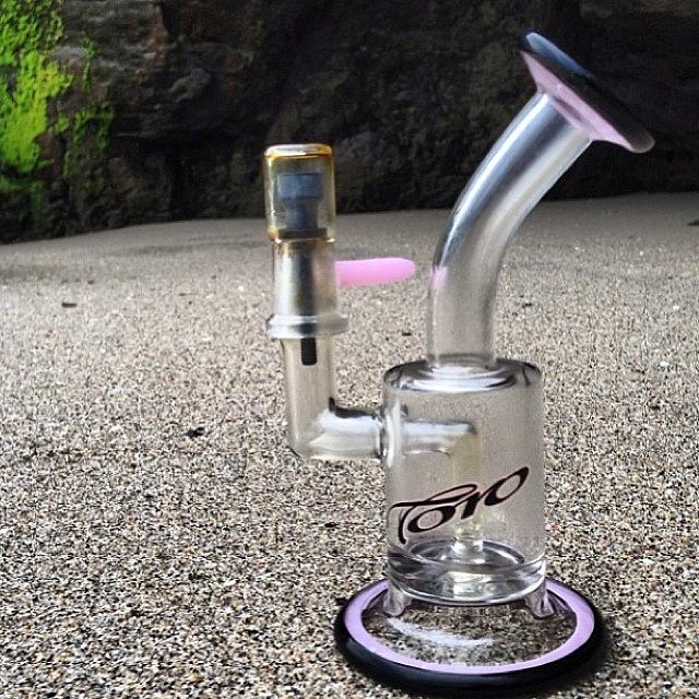 For Sale: Black & Pink Single Can Toro Photograph by Docdab Dabberson