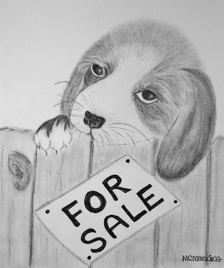For Sale Drawing by Celeste Manning