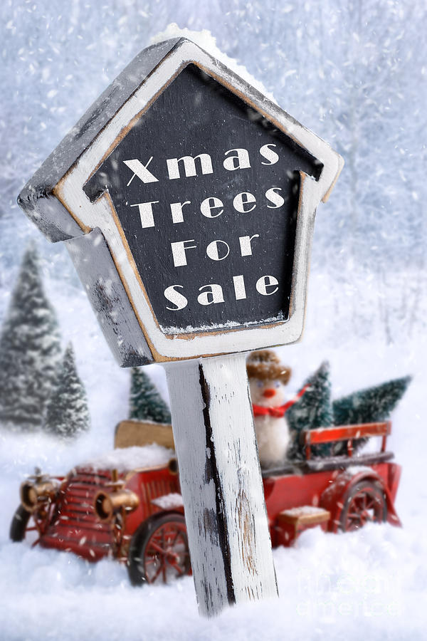 Christmas Photograph - For Sale Sign by Amanda Elwell