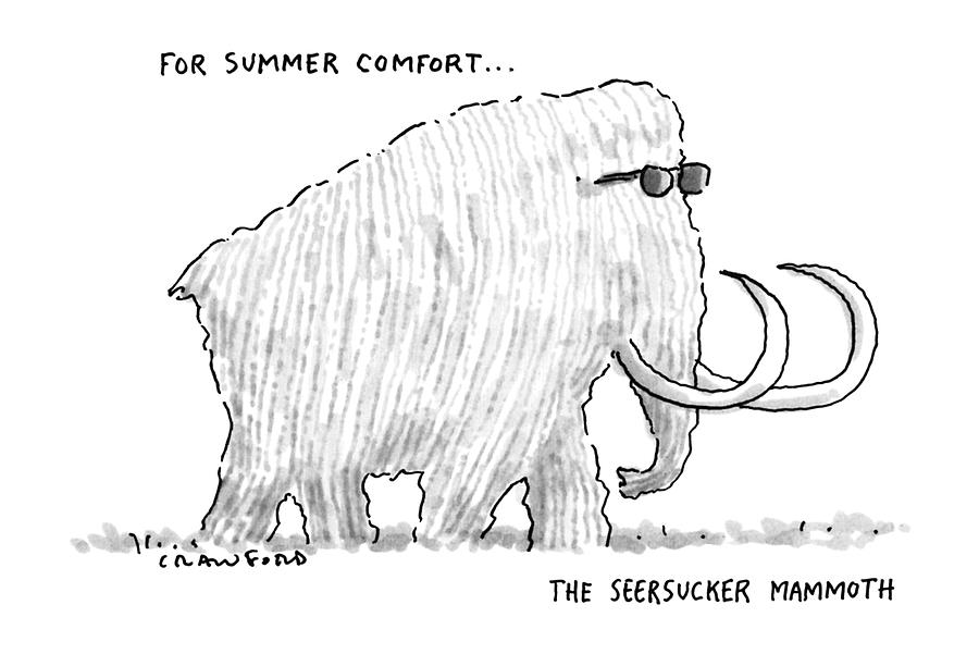 For Summer Comfort...the Seersucker Mammoth: Drawing by Michael Crawford