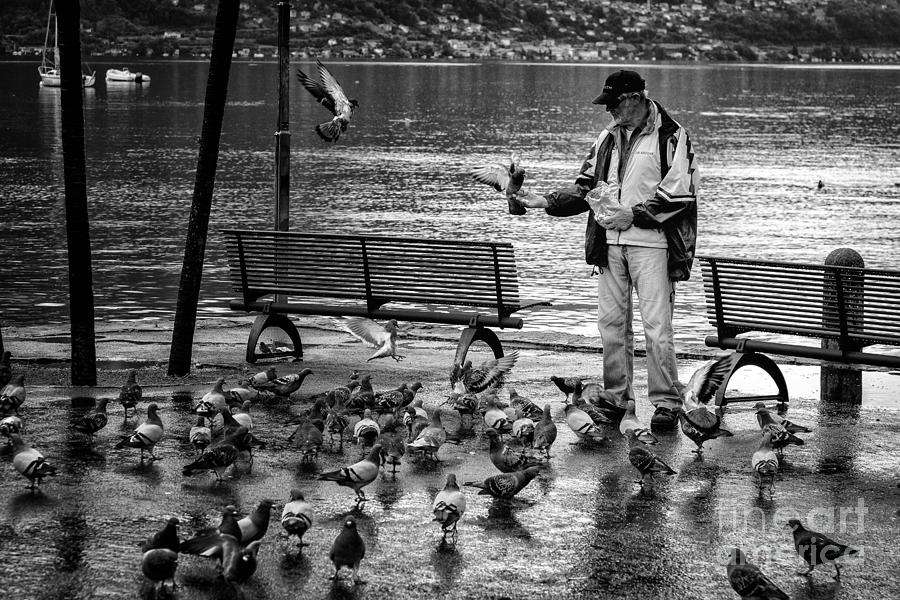 For The Birds BW Photograph by Timothy Hacker