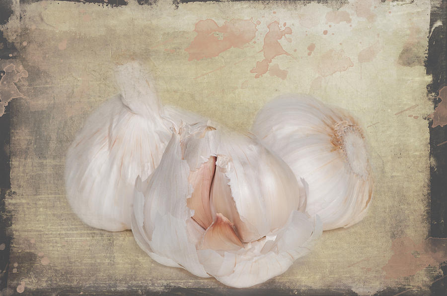 For the love of Garlic Photograph by Carolyn DAlessandro