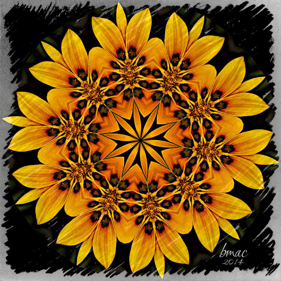 For the Love of Sunflowers Photograph by Barbara R MacPhail