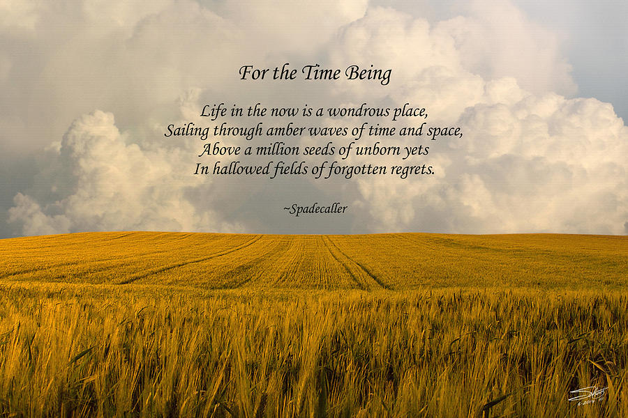 Now Digital Art - For the Time Being by M Spadecaller