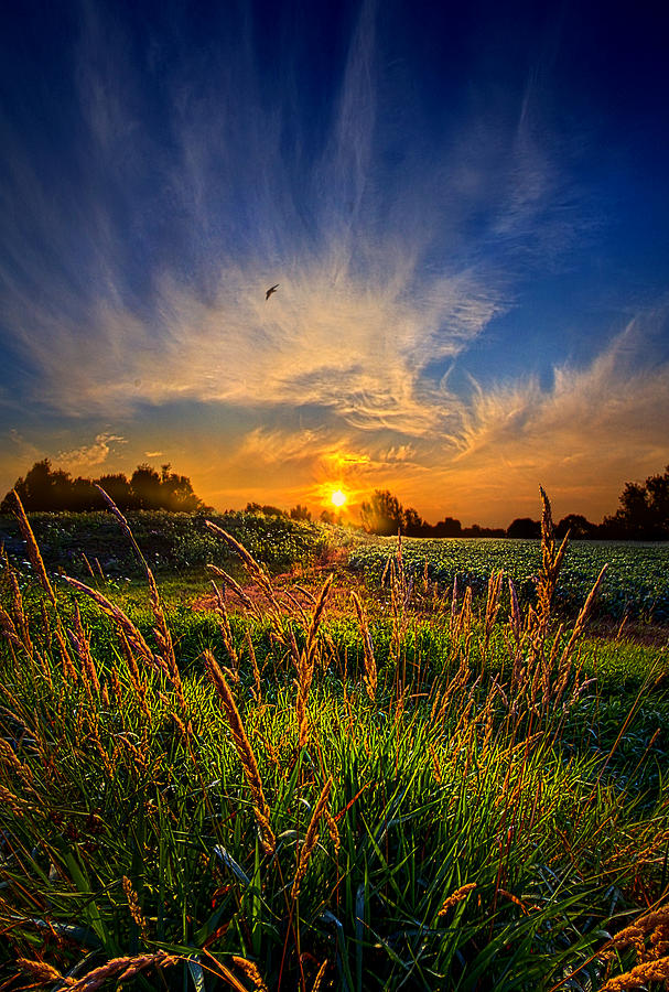 For When The Day Began Photograph by Phil Koch