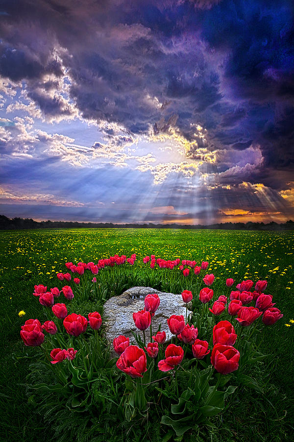 For You Are With Me Photograph by Phil Koch