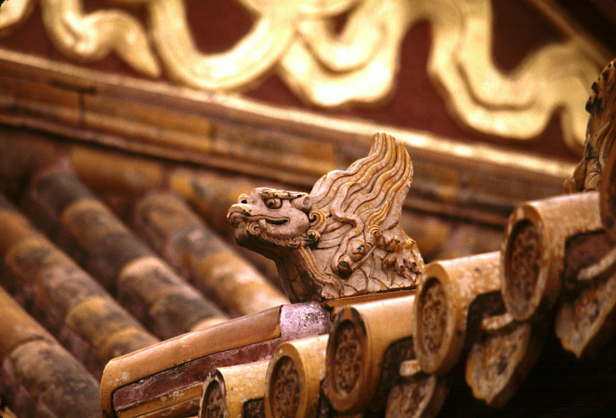 Forbidden City Dragon Photograph by Michael Kirk