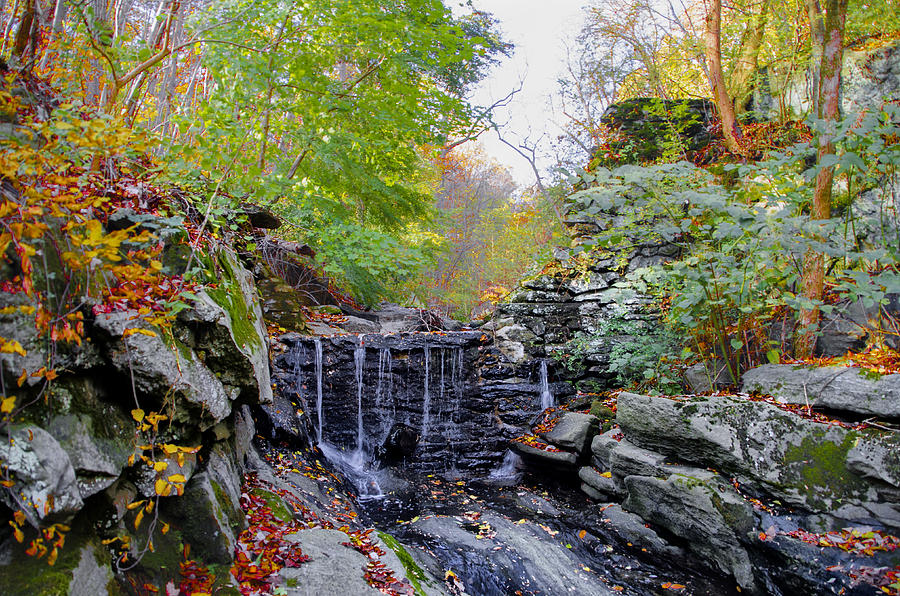 Forbidden Drive and Wises Mill Road Waterfall by Bill Cannon