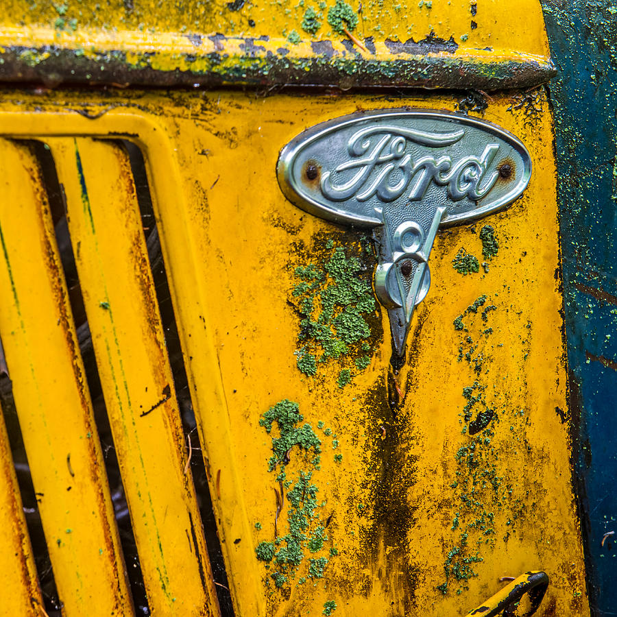 Transportation Photograph - Ford Emblem by Paul Freidlund