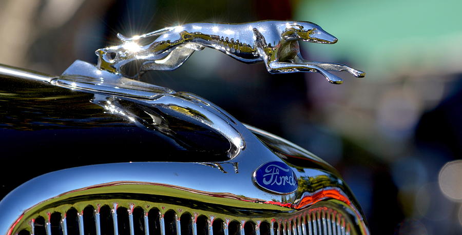 Car Photograph - Ford Hood Ornement by Dean Ferreira