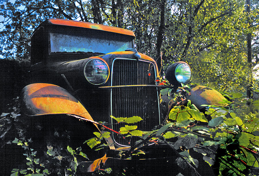 Ford in the Forest Photograph by Mike Flynn