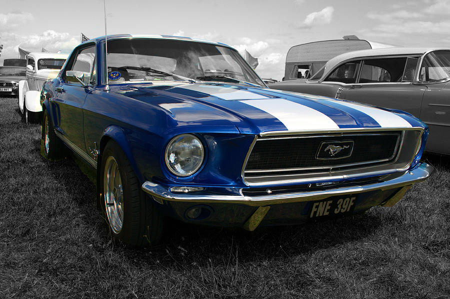 Ford Mustang Photograph by Chris Day