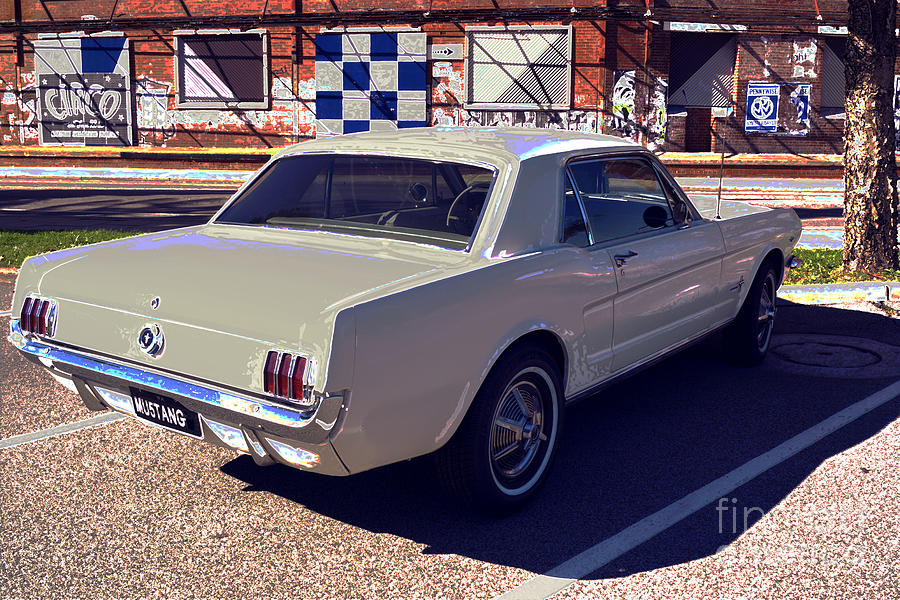 Ford Mustang I Photograph by Cassandra Buckley