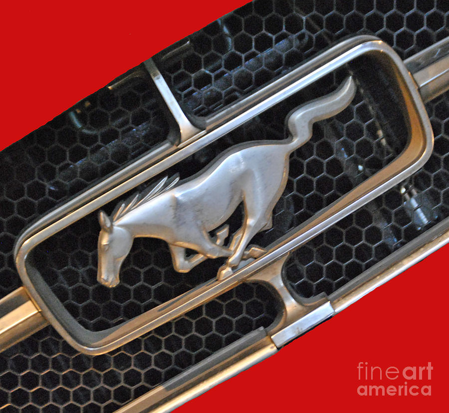 Ford Photograph - Ford Mustang by Jost Houk Ford Photograph - Ford Mustang by Jost Houk