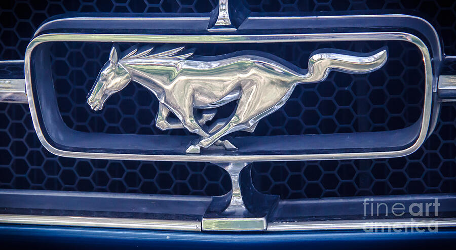 Vintage Photograph - Ford Mustang Logo by Robert Bales