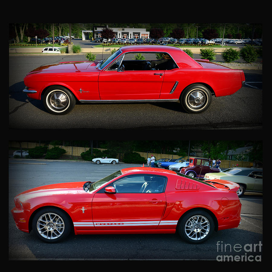 Ford Mustang Old or New Photograph by Paul Ward