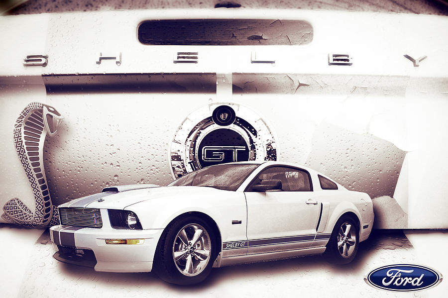 Ford Mustang Shelby GT  Photograph by Gray  Artus