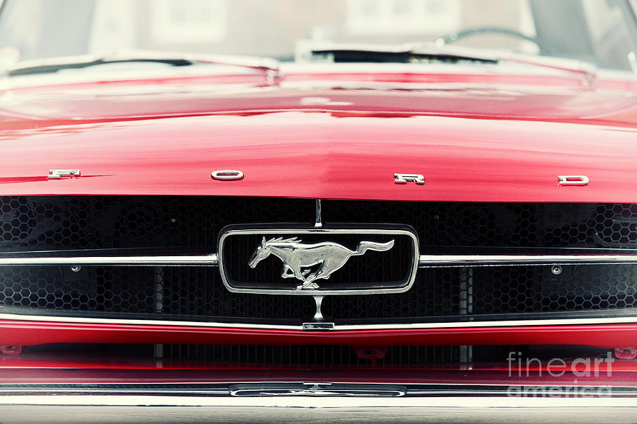 Ford Mustang Photograph by Tim Gainey
