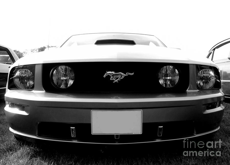 Ford Mustang Photograph by Vicki Spindler