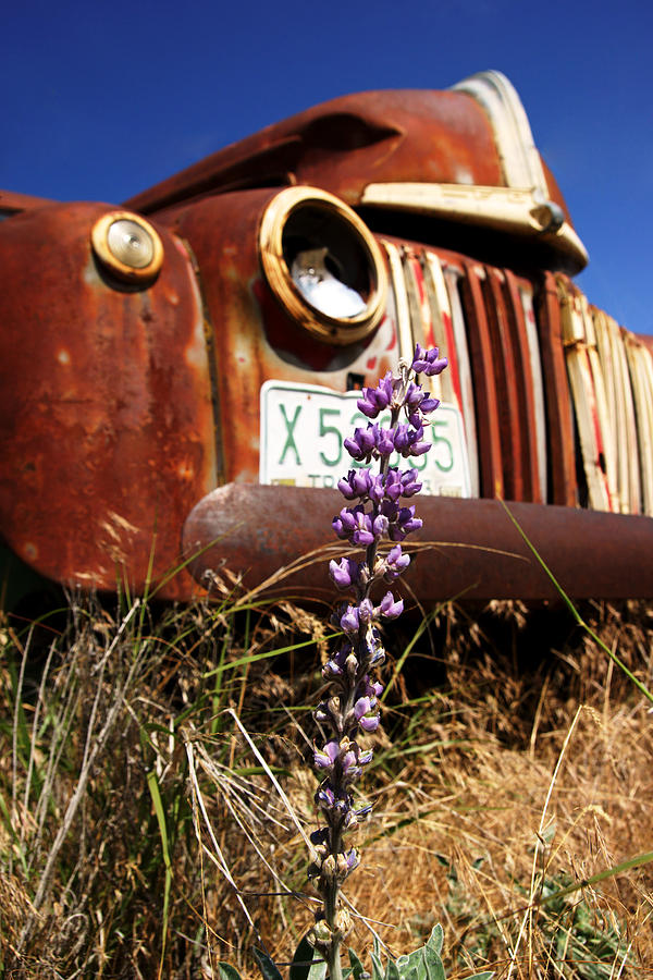 Ford on the Palouse No.3 Photograph by Daniel Woodrum