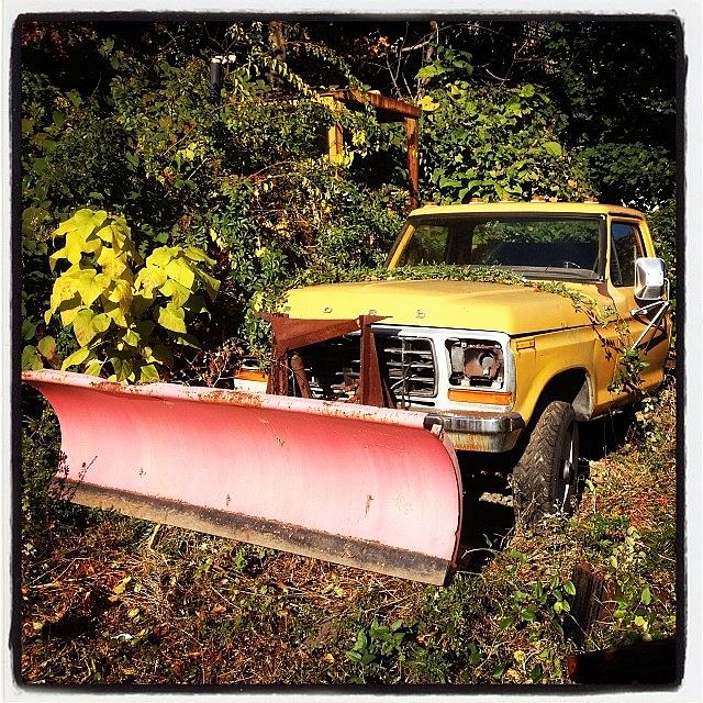 Cool Photograph - #ford #pickup #truck #overgrown #bush by Steve Anastasia
