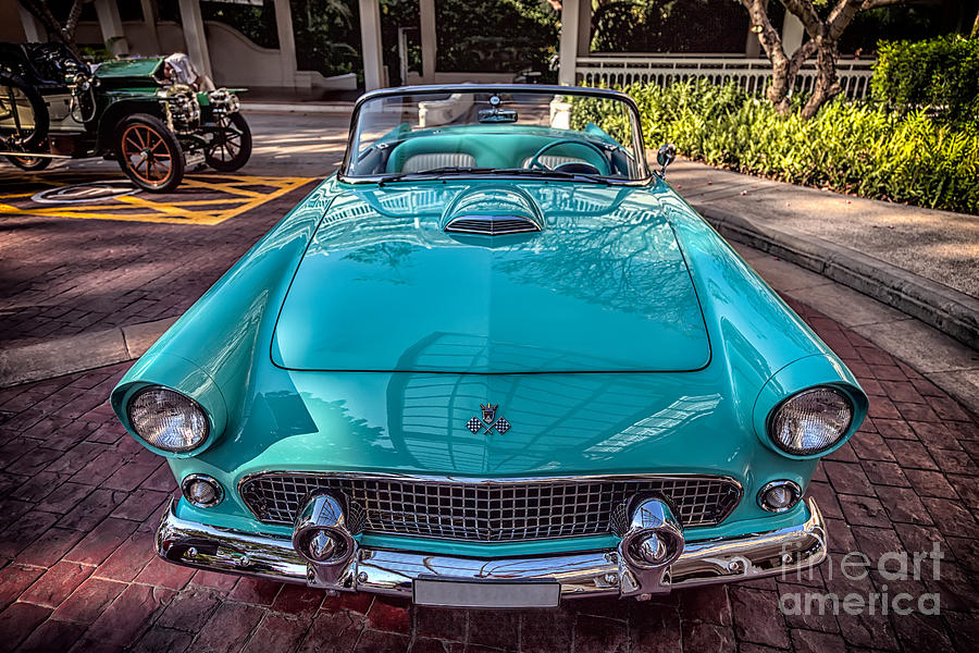 Ford Thunderbird  Photograph by Adrian Evans