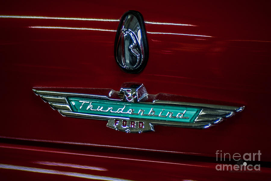 Ford Thunderbird Photograph by Ronald Grogan