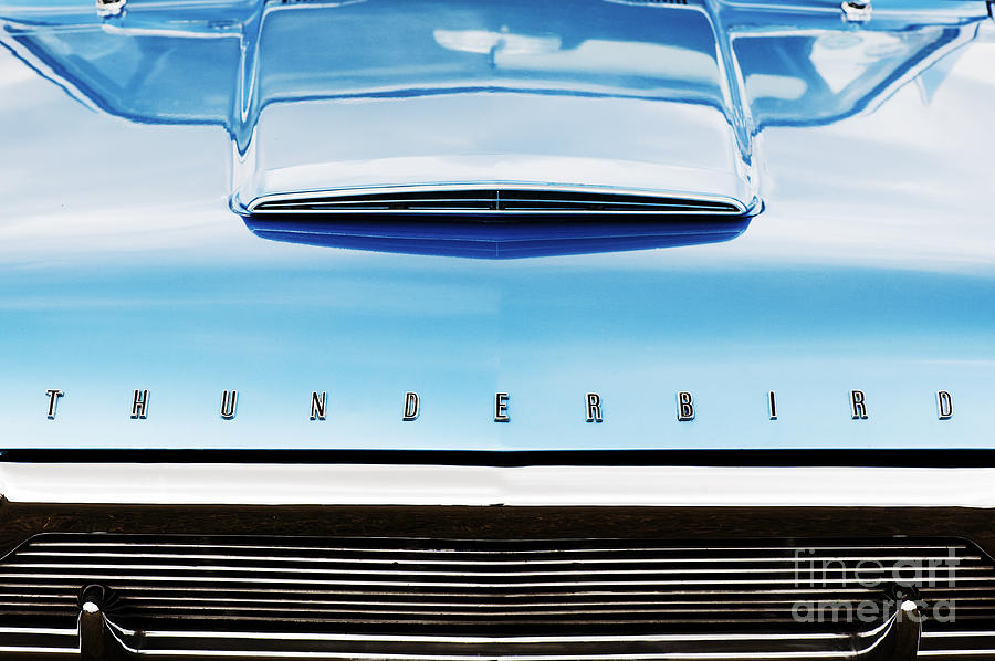 Car Photograph - Ford Thunderbird by Tim Gainey