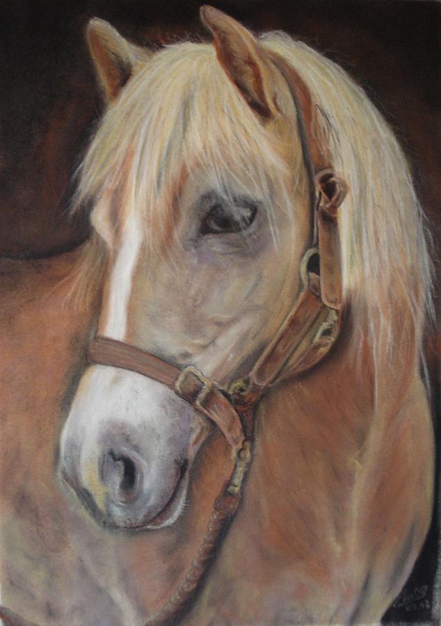 Horse Painting - Foreground by Manuel Castro Baez