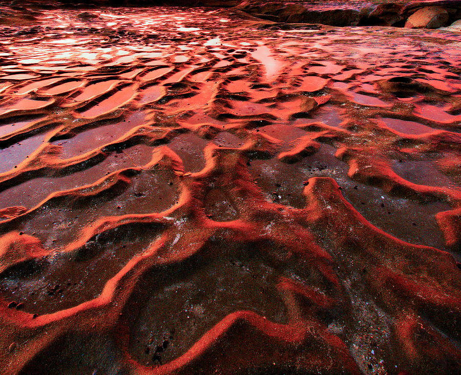 La Jolla Photograph - Foreign Land by Robert Aycock La Jolla Photograph - Foreign Land by Robert Aycock