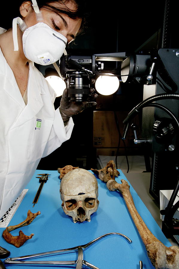 Forensic Evidence Photograph by Mauro Fermariello/science Photo Library