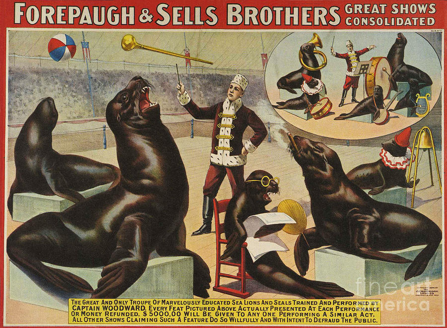 Adverts Drawing - Forepaugh &  Sella Brothers 1900s Seals by The Advertising Archives
