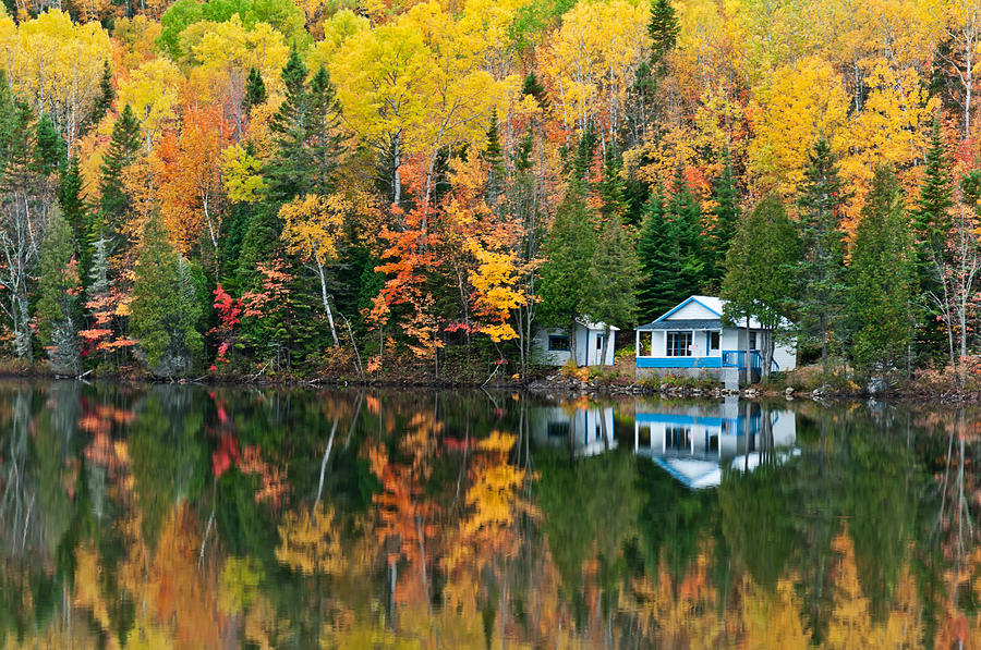 Forest and house Reflections Photograph by U Schade