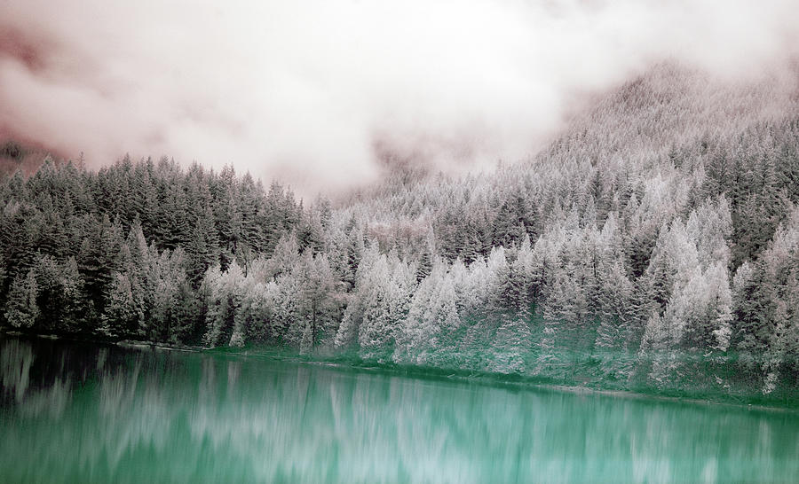 Forest And Pristine Lake Photograph by Marlene Ford