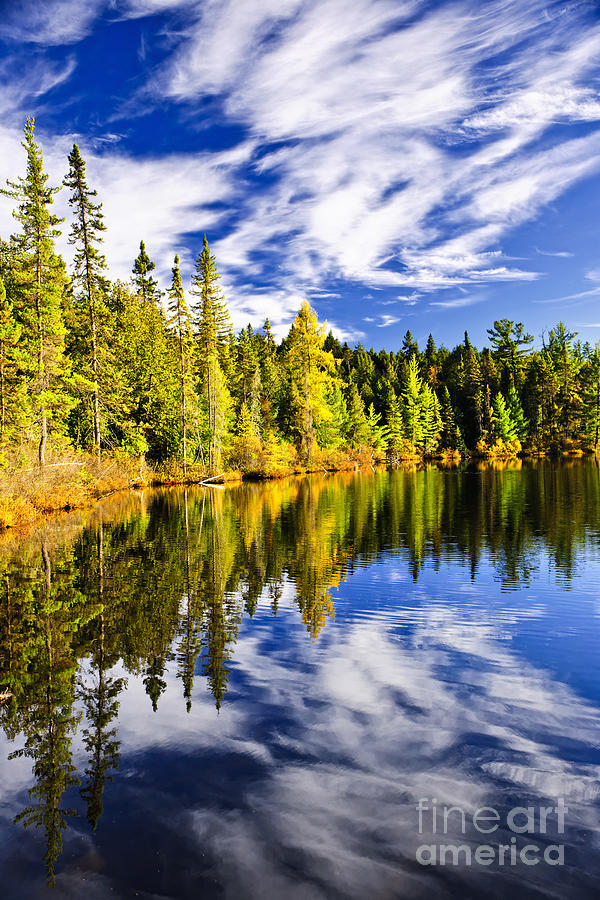 Forest and sky reflecting in lake 1 Photograph by Elena Elisseeva