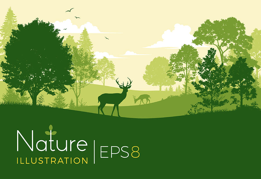 Forest Background With Deer Drawing by Edge69