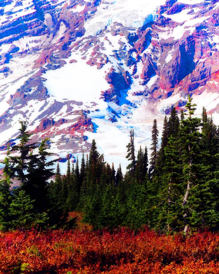 Forest Below Mt. Ranier Photograph by Timothy Bulone