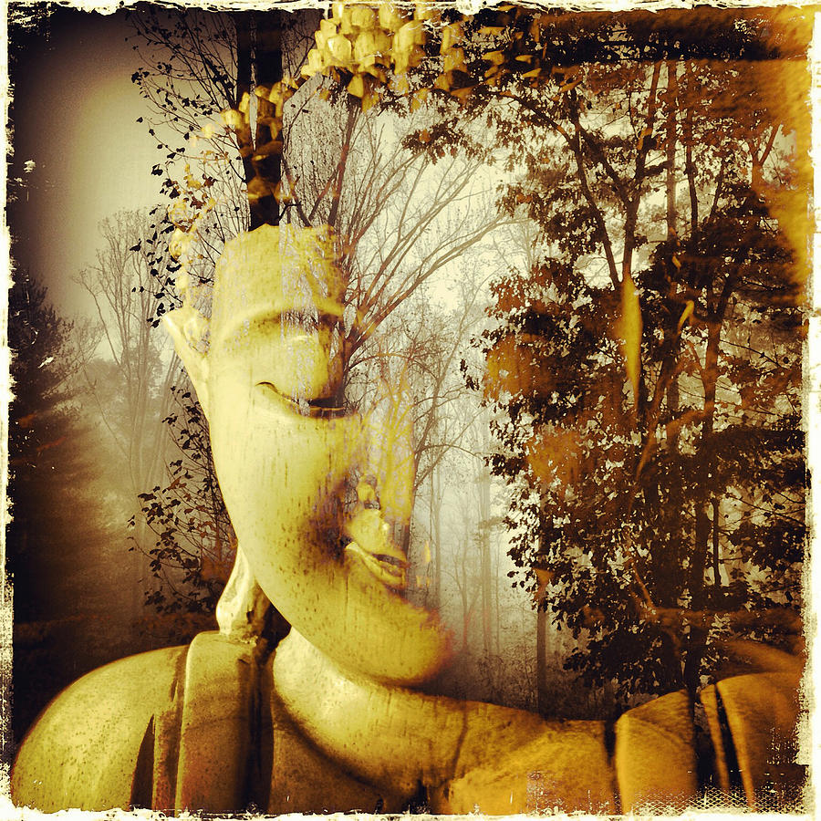 Buddha Photograph - Forest Buddha by Paul Cutright