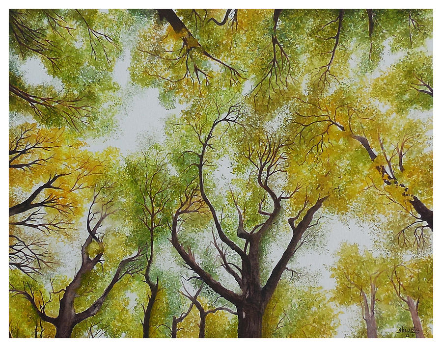 Forest Canopy Painting by Shweta Mahajan Fine Art America