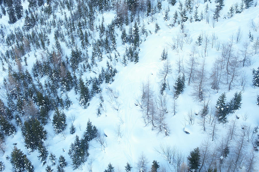 Forest Covered In Snow, View From Above Photograph by Dougal Waters