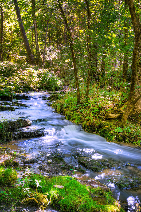Nature Photograph - Forest creek by Alexey Stiop