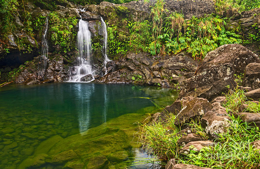 Jungle Photograph - Forest Falls - magical waterfall along the Road to Hana in Maui by Jamie Pham